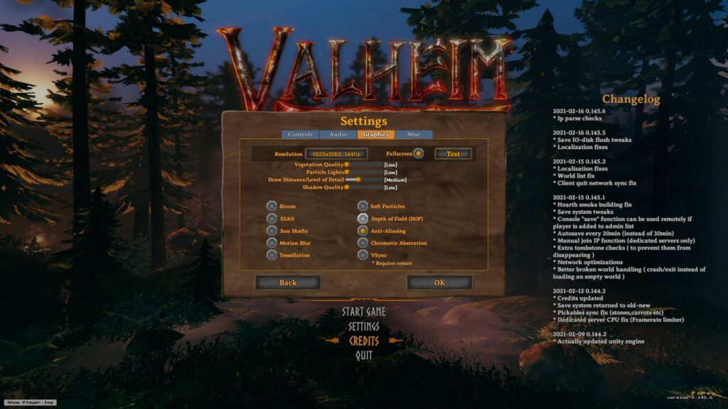 valheim best pc graphics settings