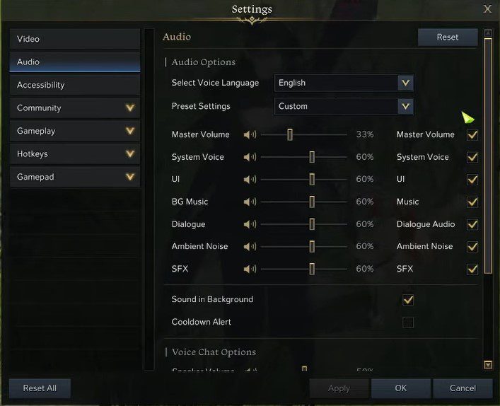 Lost Ark Audio Settings